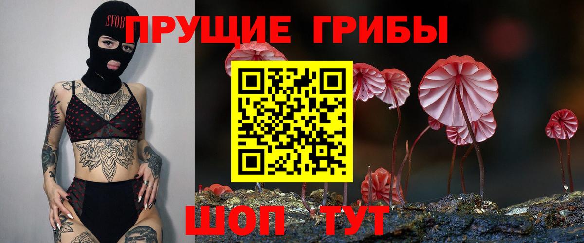 Когалым  Псилоцибиновые грибы мухоморы  Вход с VPN 
